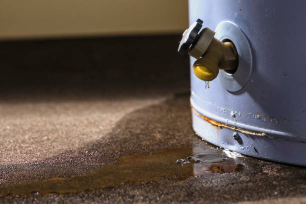 Water damage restoration mold remediation in AZ