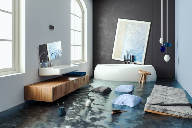 Best Water damage cleanup near me  in Eagar, AZ