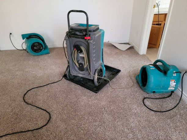 Best Local water damage restoration  in Eagar, AZ