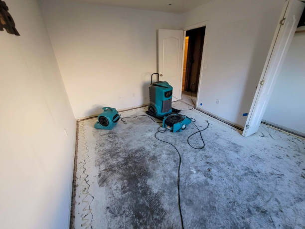 Best Mold removal after water damage  in Eagar, AZ