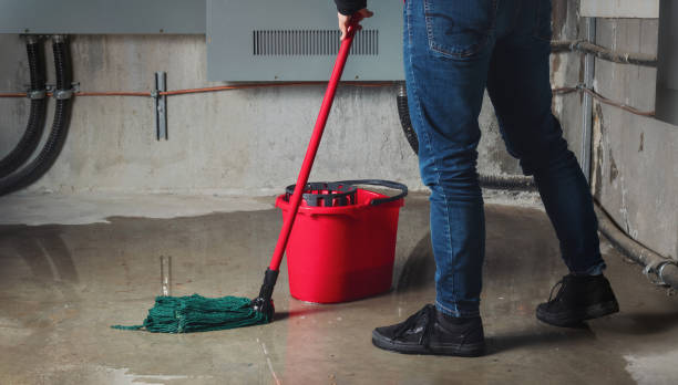 Best 24-hour water damage restoration  in Eagar, AZ