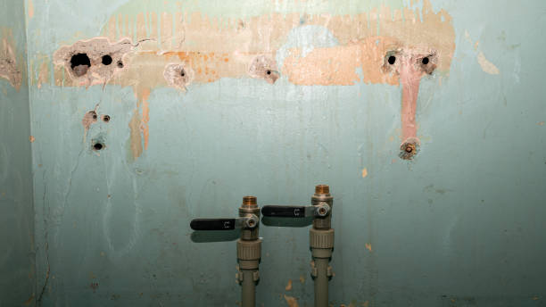 Best Flooded house restoration  in Eagar, AZ