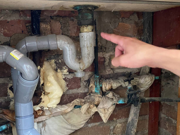 Best Water damage restoration insurance claims  in Eagar, AZ