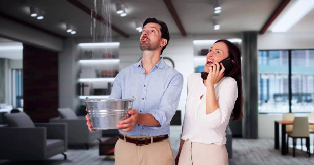 Best Ceiling water damage repair  in Eagar, AZ