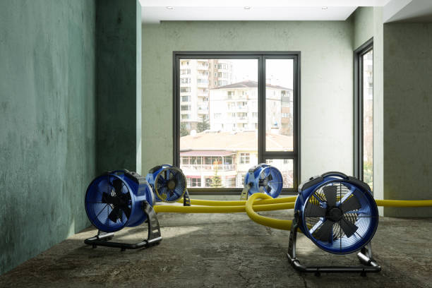 Best Local water damage restoration  in Eagar, AZ